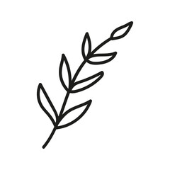 Hand drawn tea twig foliage, herbal branch. Linear doodle clipart