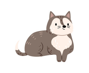 Obraz premium Wild cat cute forest animal, funny cartoon pet. Vector illustration of sitting kitten, comic mammal baby kitty, forest character. Little funny pet personage