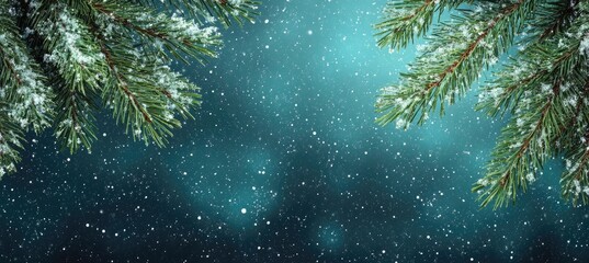 Close-up of snow falling on pine tree branches, with a starry sky in the background. The color palette is dark blue-green, creating a minimalistic winter scene