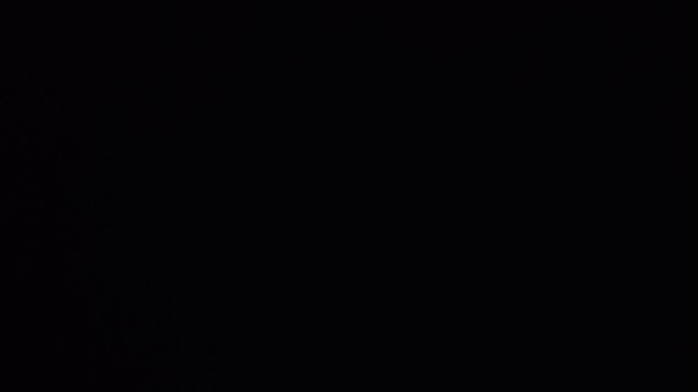 Landscape of a night sky in the beggining of the dawn