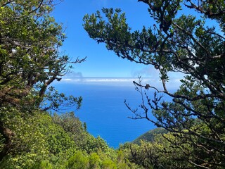 Obraz premium Madeira, Insel, traumhaft