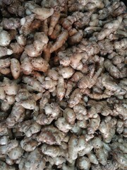 Close-up of fresh aromatic ginger roots, showcasing their earthy texture and light brown color, commonly used in Asian cuisine and traditional herbal remedies