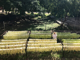 MEX_Hacienda_Sotuta_de_Peon_Sisal_2019_RET_IMG9221.JPG