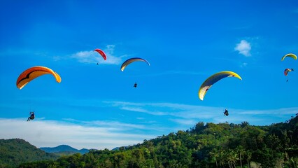 paraglider in the sky