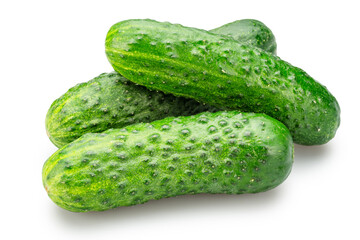 Fresh sweet small cucumbers isolated on white background. Cucumbers that are used to pickling or slicing.