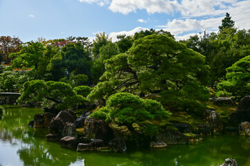 The Japanese gardern view of nijo jo castle, Kyoto, Japan. World Heritage Site, Japanese old traditional architecture in Kyoto, Japan. Background landscape of the beauty of Nijo Castle at sunny day.