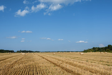 A farm field with thick, prickly yellow stubble and traces of agricultural machinery. Straw bales are scattered throughout the farmland. Blue sky with white clouds. Bright evening sunlight
