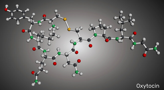 Oxytocin molecule. Peptide hormone and  neuropeptide. Molecular model. 3D rendering. Illustration