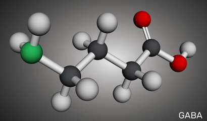 Fototapeta premium Gamma-aminobutyric acid (GABA) molecule. Chemical structure of relaxation neurotransmitter. Molecular model. 3D rendering