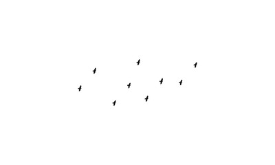 Flying birds silhouettes And Vector illustration.