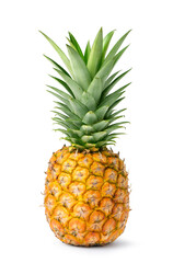 Pineapple isolated on white background.