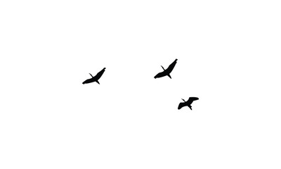 Flying birds silhouettes And Vector illustration.