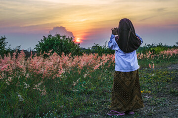 Fototapeta premium Little Asian girl captures sunset using smartphone on a plot of land filled with pink flowers (melinis repens)