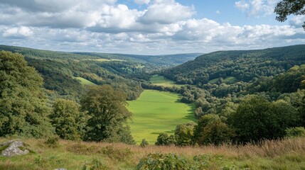 Fototapeta premium Panoramic Valley Landscape