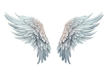Fototapeta premium Angel white wing white background.