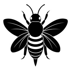 Bee Black silhouette vector illustration isolated on a transparent background
