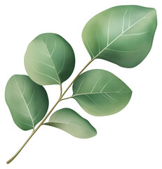 Green leaves on a branch isolated on transparent background.