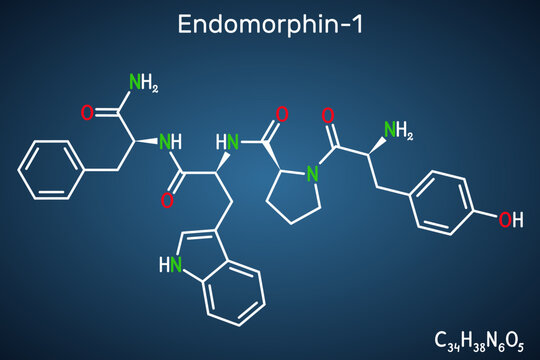 Endomorphin-1 (EM-1) molecule. Endogenous  opioid peptide for pain modulation. Structural chemical formula on the dark blue background. Vector