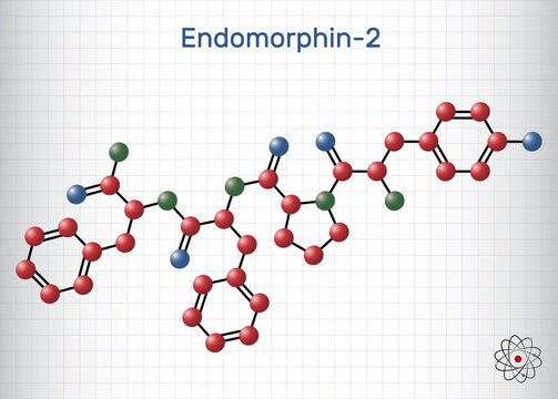 Endomorphin-2 molecule. Natural opioid peptide with analgesic properties. Molecule model. Sheet of paper in a cage. Vector