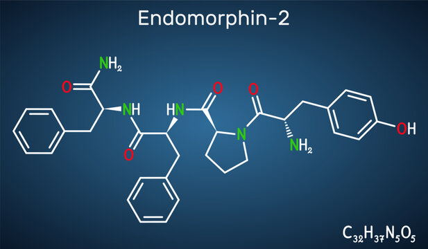 Endomorphin-2 molecule. Natural opioid peptide with analgesic properties. Structural chemical formula on the dark blue background. Vector