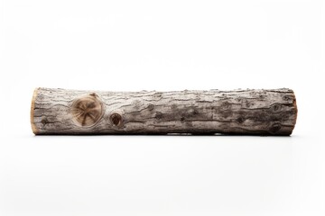 Fototapeta premium Log plant wood tree.