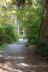 Woman and Child walking on a path in the forest on a sunny day in Fall or Autumn,