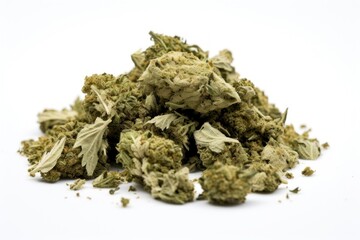 Cannabis plant herbs food.