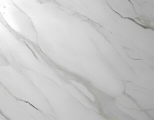 White Marble with Gray Veins