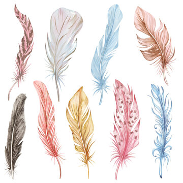 Hand drawn watercolor feather set. Boho bird feathers cipart
