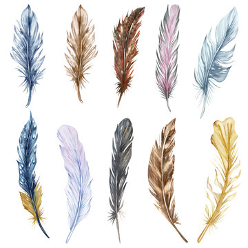Hand drawn watercolor feather set. Boho bird feathers cipart