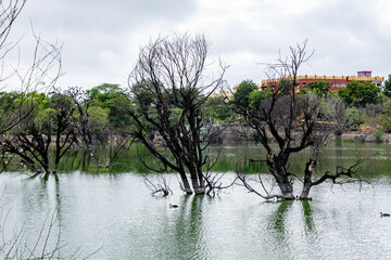 pristine calm lake with shiva statue and bright sky at morning from flat angle