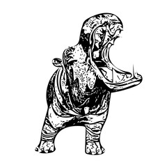 Obraz premium Hippopotamus amphibius vector ilustration isolated design 