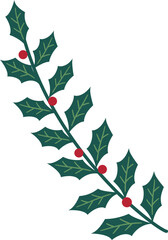 Holly branch with berries vector illustration. 
Christmas Holly Leaves and Berries flat vector Isolated.