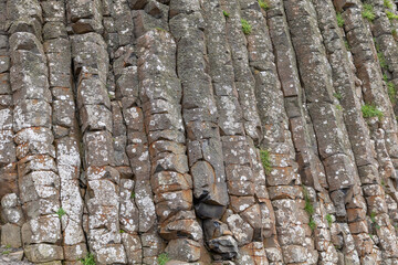 Detailed shot of Giant Causeway hexagonal basalt pillars, displaying weathered textures, deep...