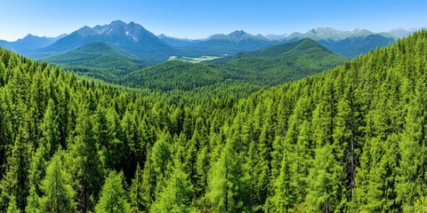 Fototapeta premium Majestic Mountain Forest Landscape with Lush Greenery and Blue Skies