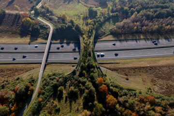 Forest aerial wildlife crossing De Borkeld forming a safe natural corridor bridge for animals to...