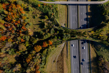 Autumn coloured forest aerial wildlife crossing De Borkeld forming a safe natural corridor bridge...