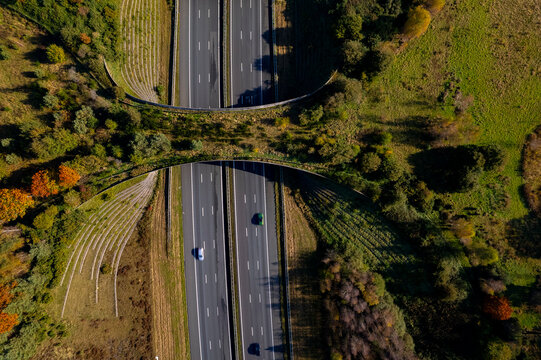 Forest aerial wildlife crossing De Borkeld forming a safe natural corridor bridge for animals to migrate between conservancy areas. Environment nature reserve infrastructure engineering eco passage