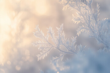 Delicate Frost Crystal Pattern in Soft Pastel Winter Morning Light
