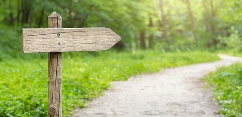 Rustic wooden directional signpost along a sunlit forest path.