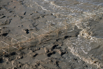 Crab and shell traps set up on the beach.