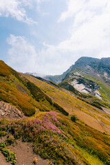 Fototapeta premium Landscape in the mountains