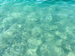Texture of blue calm water creates a serene and peaceful background. The natural beauty of water...