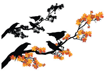 flock of ominous raven birds sitting on autumn colored maple tree branch - bright seasonal foliage and black and white vector halloween silhouette design set
