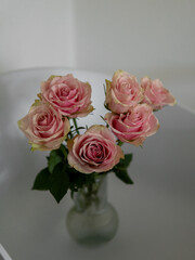 a pink rose with an imperfect petal