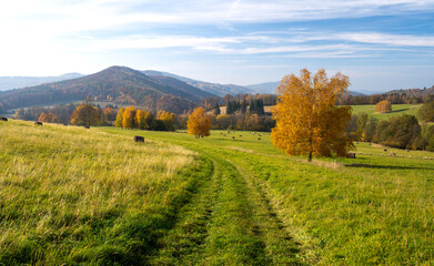 Obraz premium autumn landscape of Kaczawskie mountains in Lower Silesia in Poland