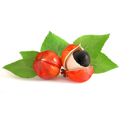 guarana brazilian traditional fruit