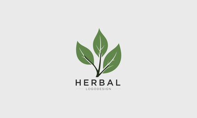modern Herbal or leaf minimalist logo design for Business, company, and medicine.