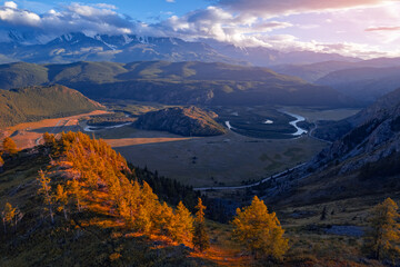 Beautiful aerial landscape winding river meander in mountains with forest trees with sunlight, Altai Russia, top view