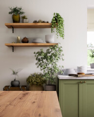 A stylishly decorated kitchen with green accents and a variety of lush indoor plants